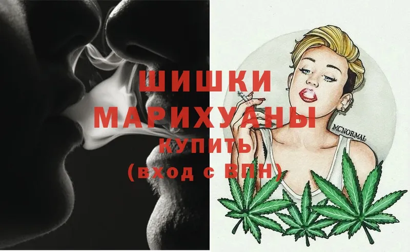 Шишки марихуана OG Kush  Белая Холуница 